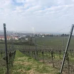 Lägenhet Weinberg *