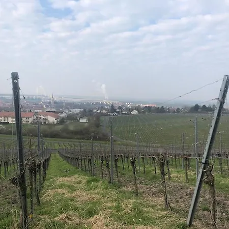Apartman Weinberg *