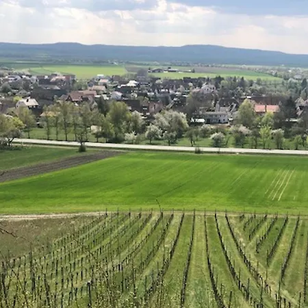 Weinberg Daire