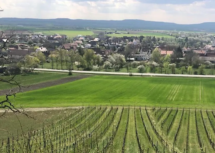 Weinberg * Markt Einersheim