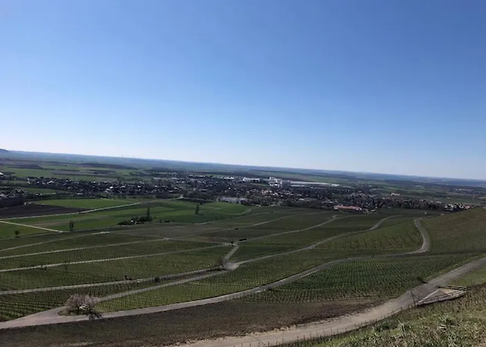 Weinberg Daire *