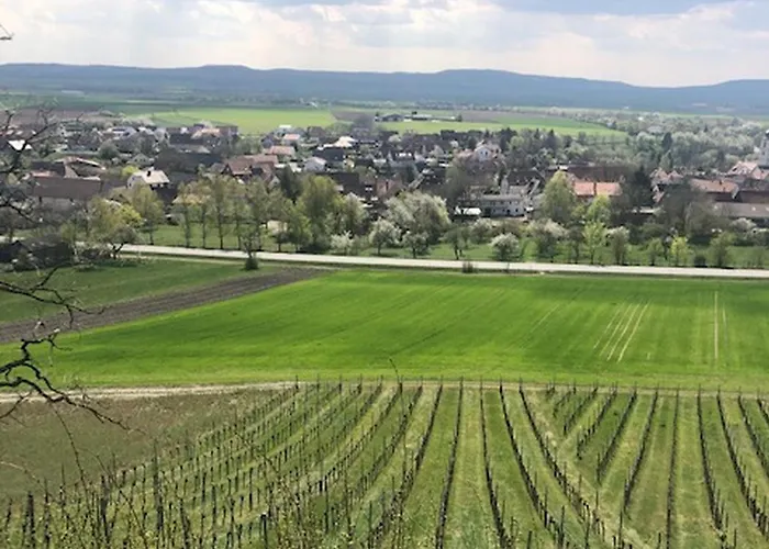 Weinberg Daire
